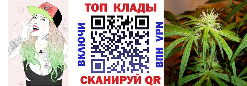 Меф Андреаполь