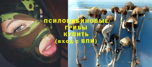 спиды Алзамай