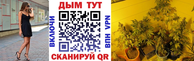 МАРИХУАНА планчик  сколько стоит  Андреаполь 